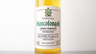 [2240] Bianco Fongoli 2022 Fongoli / ӥ󥳡ե󥴥 2022 ե󥴥
