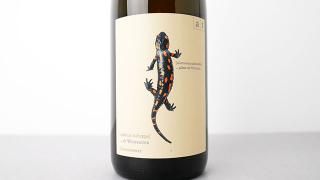 [ͭ] Salamander 2019 ANDREAS TSCHEPPE / ޥ (ȥ) 2019 ɥ쥢ĥå