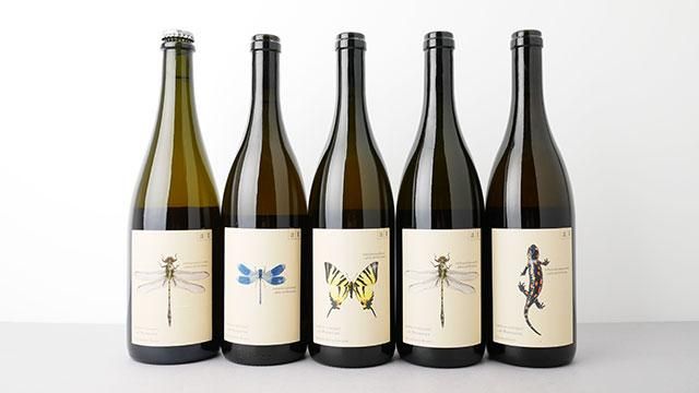 しょく アンドレアスツェッペ2本セット 条件有] Segelfalter 2019 ANDREAS TSCHEPPE / シーゲルファルター (黄