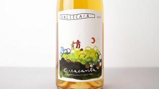 [3360] Vallecaia 2022 terracanta / å쥫 2022 ƥå饫