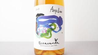 [3360] Angelina 2022 terracanta / 󥸥꡼ 2022 ƥå饫