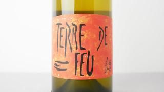 [3840] TERRE DE FEU Blanc 2024 Foulards Rouges / ơ롦ɡա ֥ 2024 ե顼롦롼