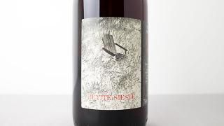 [3600] Petite Siste 2021 Terres des Nus / ץƥåȡ 2021 ơ롦ǡ˥