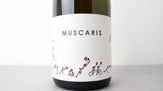 [4640] Muscaris 2020 Josef Totter / ॹꥹ 2020 祻աȥå