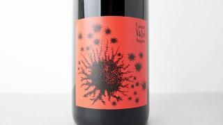 [3600] Beaujolais Village 2020 Romuald Valot / ܡ졦顼 2020 ߥ奢ɡ