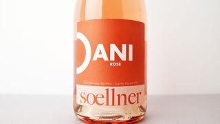 [2080] DANI Rose 2023 Weingut Soellner / ˡ 2023 󥰡ȡʡ