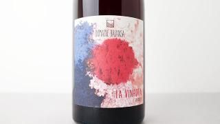 [3520] La Vinhota 2023 Balansa / 顦˥å 2023 Х