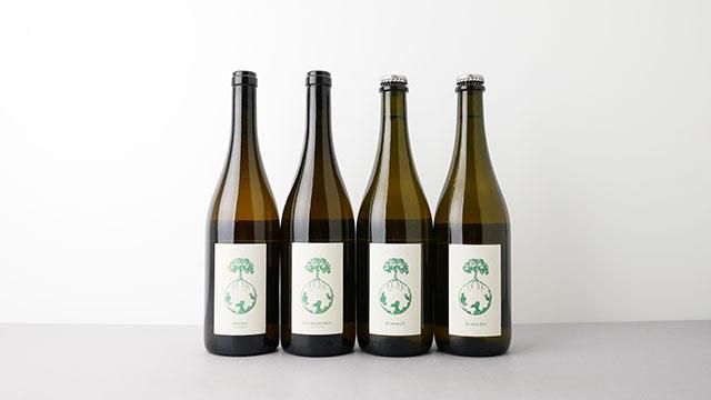 ヴェルリッチ　dreigenerationenwein 2022 条件有] DREIGENERATIONWEIN 2022 WERLITSCH / 三世代ワイン