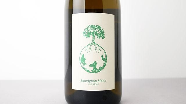 ヴェルリッチ　morillon 2022 条件有] DREIGENERATIONWEIN 2022 WERLITSCH / 三世代ワイン