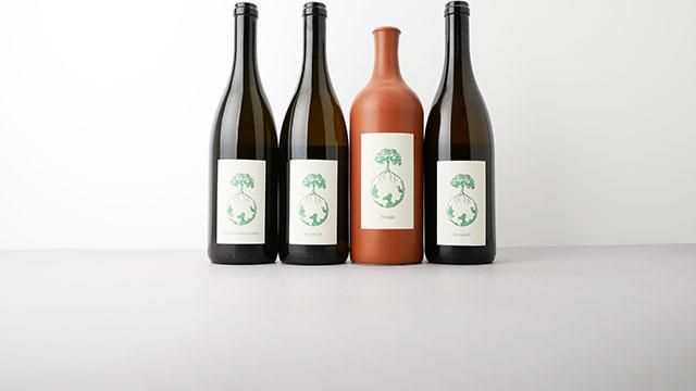 ヴェルリッチ　Sauvignon blanc 2022 ヴェルリッチ Sauvignon blanc 2022