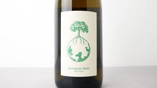 [ͭ] SAUVIGNON BLANC VOM OPOK 2022 WERLITSCH / ݥå˥֥ 2022 å
