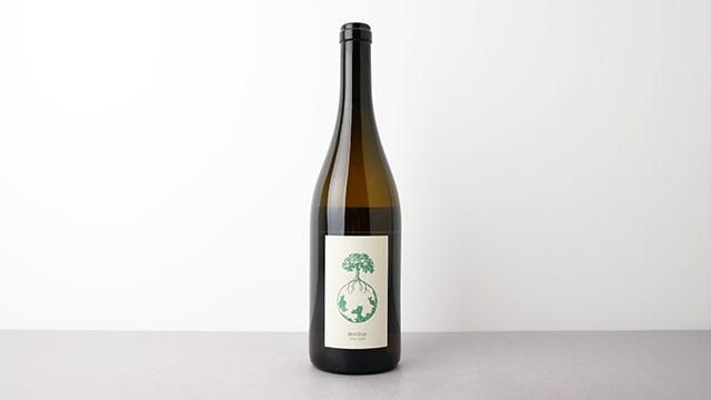 ヴェルリッチ　morillon 2022 条件有] MORILLON VOM OPOK 2022 WERLITSCH / オポック産