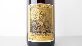 [4400] Amphore 2021 Lapis Vinolenti / ե 2021 ԡΥƥ