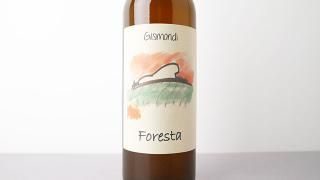 [3040] Foresta 2023 Antonio Gismondi / ե쥹 2023 ȥ˥ǥ