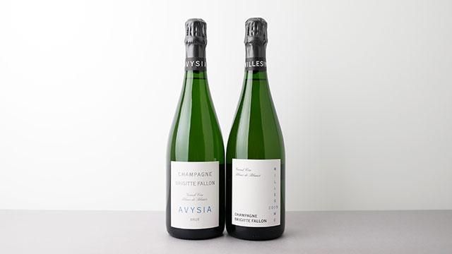 販売条件有] Avysia NV(B20) BRIGITTE FALLON / アヴィシア NV(B20