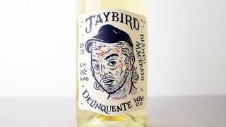 [2080] Jaybird 2025 Delinquente Wine / С 2025 ǥ󥯥