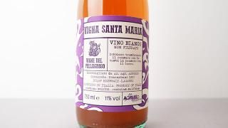 [3200] Vigna Santa Maria 2020 Pellagroso / ˥㡦󥿡ޥꥢ 2020 ڥå饰
