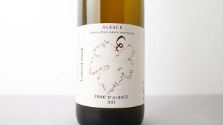 [3440] Pinot d'alsace 2023 Laurent Barth / ԥΡ륶 2023 󡦥Х
