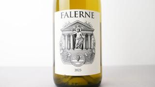 [1920] FALERNE 2023 Magnolia / ե 2023 ޥΥꥢ