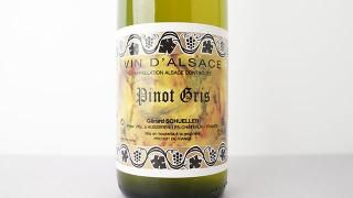 [4320] Pinot Gris 2023 Gerard Schueller et Fils / ԥΡ 2023 顼롦졼롦ե