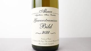 [5680] Gewurztraminer - Bild 2023 Gerard Schueller et Fils / ĥȥߥ͡ ӥ 2023 顼롦졼롦ե