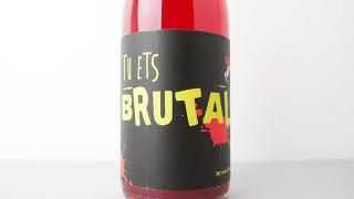 [4320] Brutal !!! 2023 Celler Tuets / ֥奿 !!! 2023 顼ƥ奨å