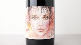 [4720] Vizioramingo 2022 Manuel Pulcini / ߥ 2022 ޥ̥롦ץ