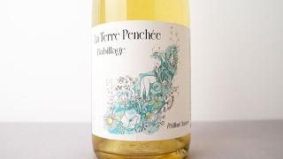 [4640] Babillage 2023 La Terre Penchee / Хӥ䡼 2023 顦ơ롦ݥ󥷥