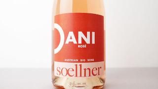 [2640] DANI Rose 2024 Weingut Soellner / ˡ 2024 󥰡ȡʡ