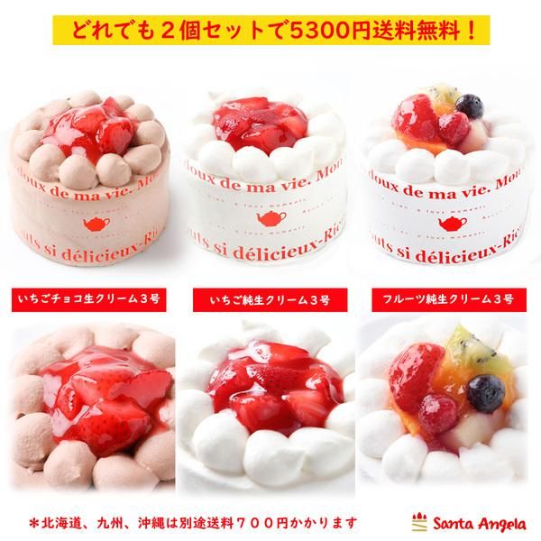 ちょこケーキ　3点 楽天市場】生チョコ ケーキ 12個入り 360g 【チョコ