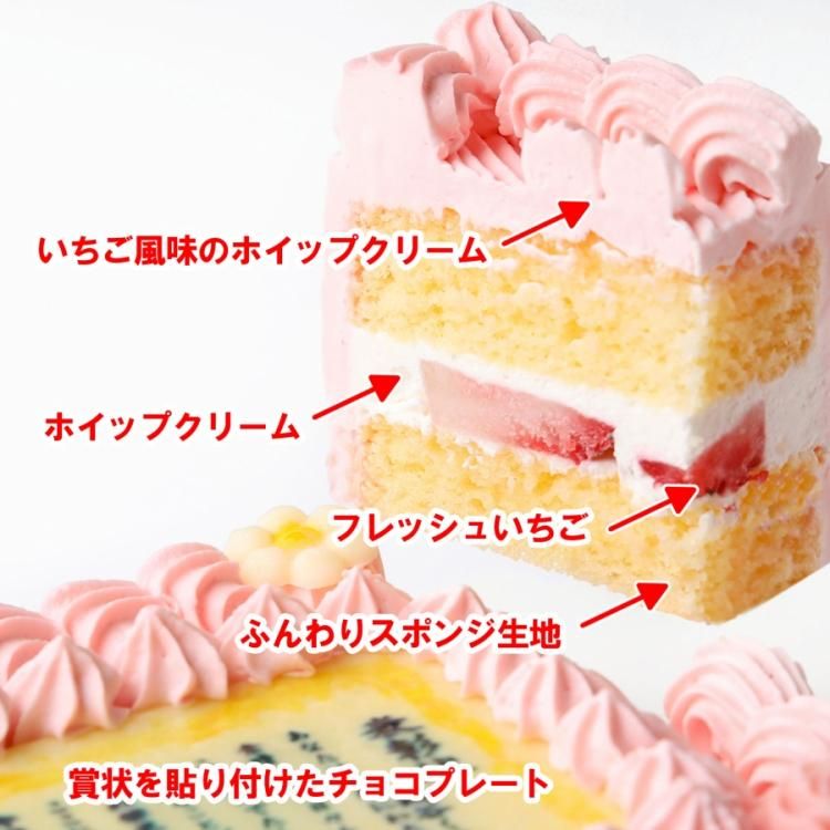 写真ケーキの感謝状ケーキ 賞状ケーキ １２ｃｍ １５ｃｍ ４人分サイズ を通販でお届けします