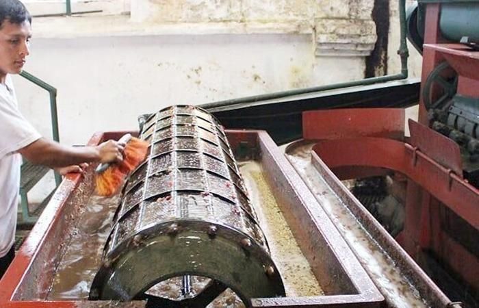 グァテマラ ラス・ヌーベス農園 シティロースト