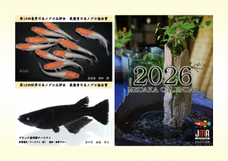 <img class='new_mark_img1' src='https://img.shop-pro.jp/img/new/icons61.gif' style='border:none;display:inline;margin:0px;padding:0px;width:auto;' />̵ޤޤ2026ǯJMAɾ޵