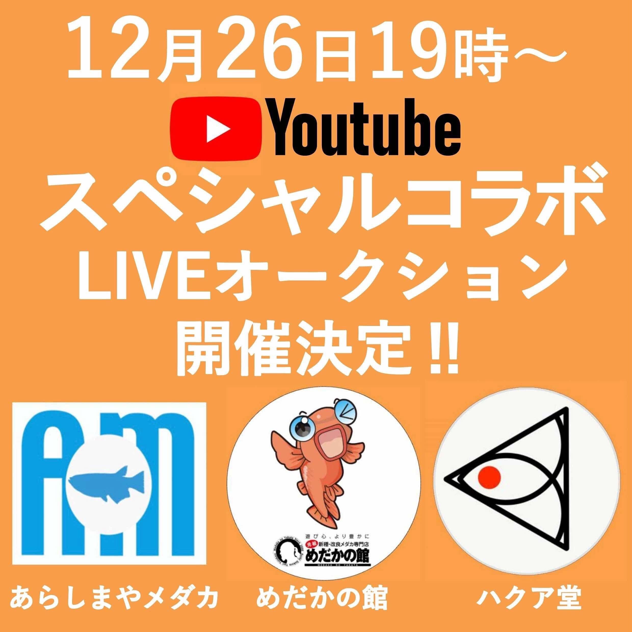 あらしまやメダカオンラインショップ