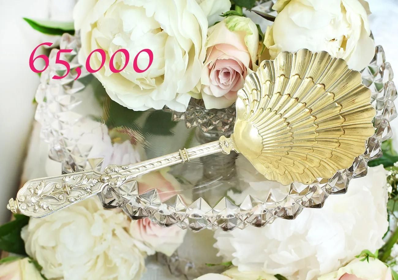 ʩƥڶ800+Boar's head)ۥ뷿ӥ󥰥סPuiforcat