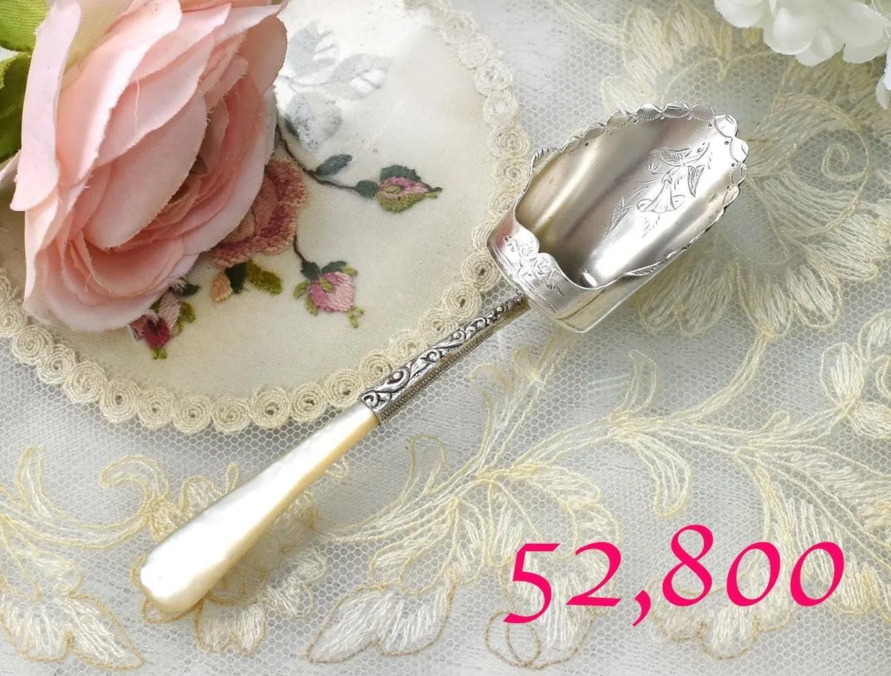 ѹ񥢥ƥڽ1898ǯĳå׷ǥס