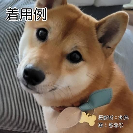 おリボン型迷子札