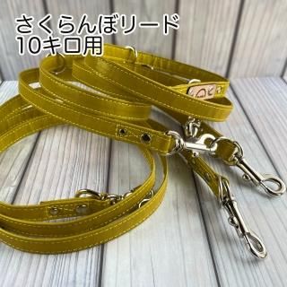 <img class='new_mark_img1' src='https://img.shop-pro.jp/img/new/icons2.gif' style='border:none;display:inline;margin:0px;padding:0px;width:auto;' />ȿͺ۲ȿͺ֥åɡۡȿͺѤѥ꡼ɡݤʤɤ˥OKܥ룳ܥå