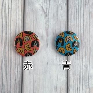 光る缶バッジ／キャバリアがいっぱい！（青・赤）／国産／高輝度...