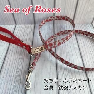 10ޤǡȿͺSea of Rosesסʻ꤬ۡۤο٤ޤ