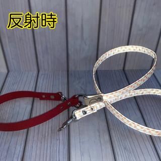 ヨークシャーテリア - RUMKA（ルンカ） 愛犬の交通事故から