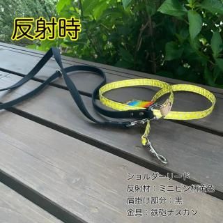 WAKO ブロンズ？　ヨークシャーテリア　リード付き WAKO ブロンズ？ ヨークシャーテリア リード付き ドッグ ハンズ