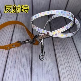 <img class='new_mark_img1' src='https://img.shop-pro.jp/img/new/icons1.gif' style='border:none;display:inline;margin:0px;padding:0px;width:auto;' />¨ǼOKۡ10ޤǡ۸꡼ɡ֥եۡסŴˤʥ̾ԲġΤˡڣ¤