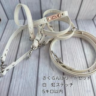 <img class='new_mark_img1' src='https://img.shop-pro.jp/img/new/icons25.gif' style='border:none;display:inline;margin:0px;padding:0px;width:auto;' />5ޤǡ۹ȿͺѤѥ꡼ɡȿͺƥåˡݤʤɤ˥OKܥ룳ܥåȡ¨Ǽǽ