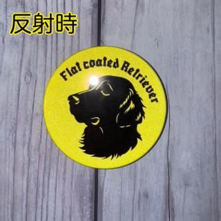<img class='new_mark_img1' src='https://img.shop-pro.jp/img/new/icons1.gif' style='border:none;display:inline;margin:0px;padding:0px;width:auto;' />֥եåȥƥåȥȥСס̥Хåȿͺࡿ57ߥ꡿ե쥯