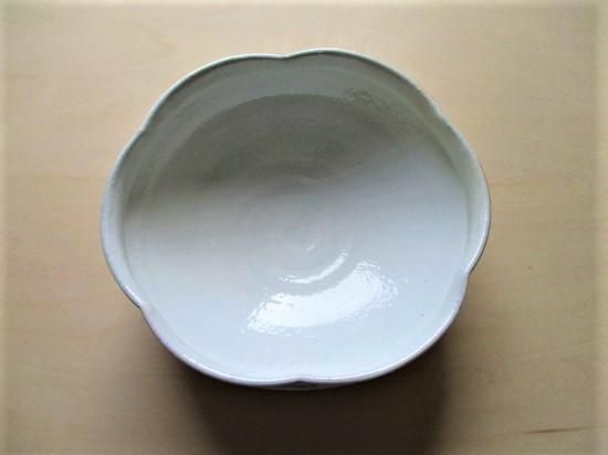 信楽焼 輪花盛鉢・大（粉引） - 猫の道草