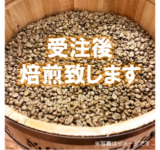 㥬ϥˡ  㥳ꥫ  Costa Rica Jaguar Honey