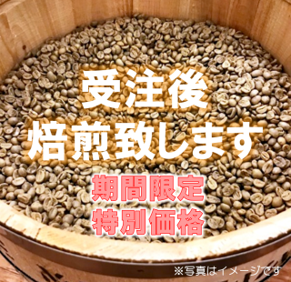 【特別価格】ガテマラ ピーベリー  <ガテマラ>  【Guatemala Antigua Pastores Peaberry】