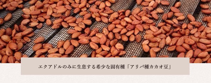エクアドルのみに生息する希少な固有種「アリバ種カカオ豆」