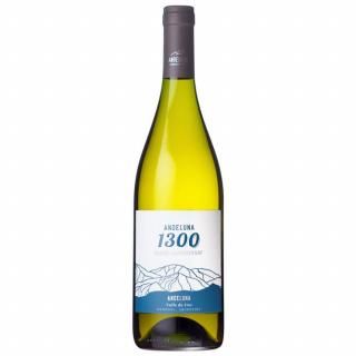 ǥ롼ʡɥ͡2022ǯʥǥ롼ʡ顼750ml<BR>Andeluna Chardonnay